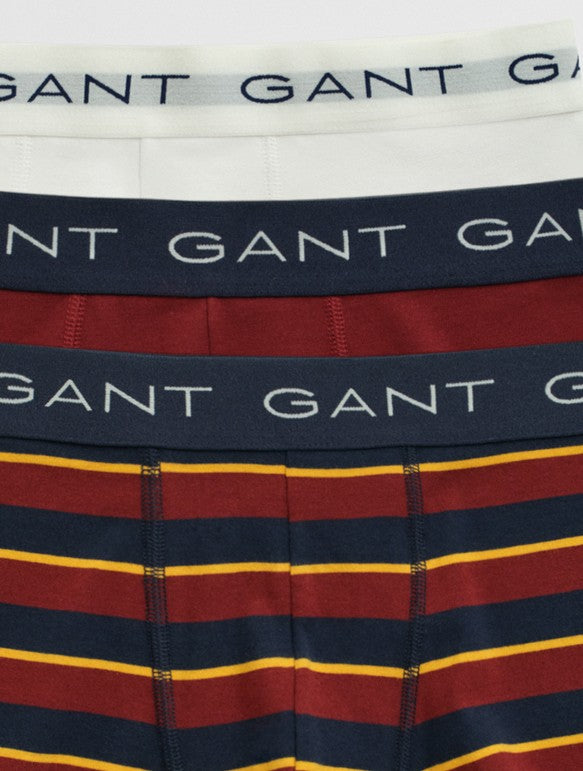 3-Pack Multistriped Trunks