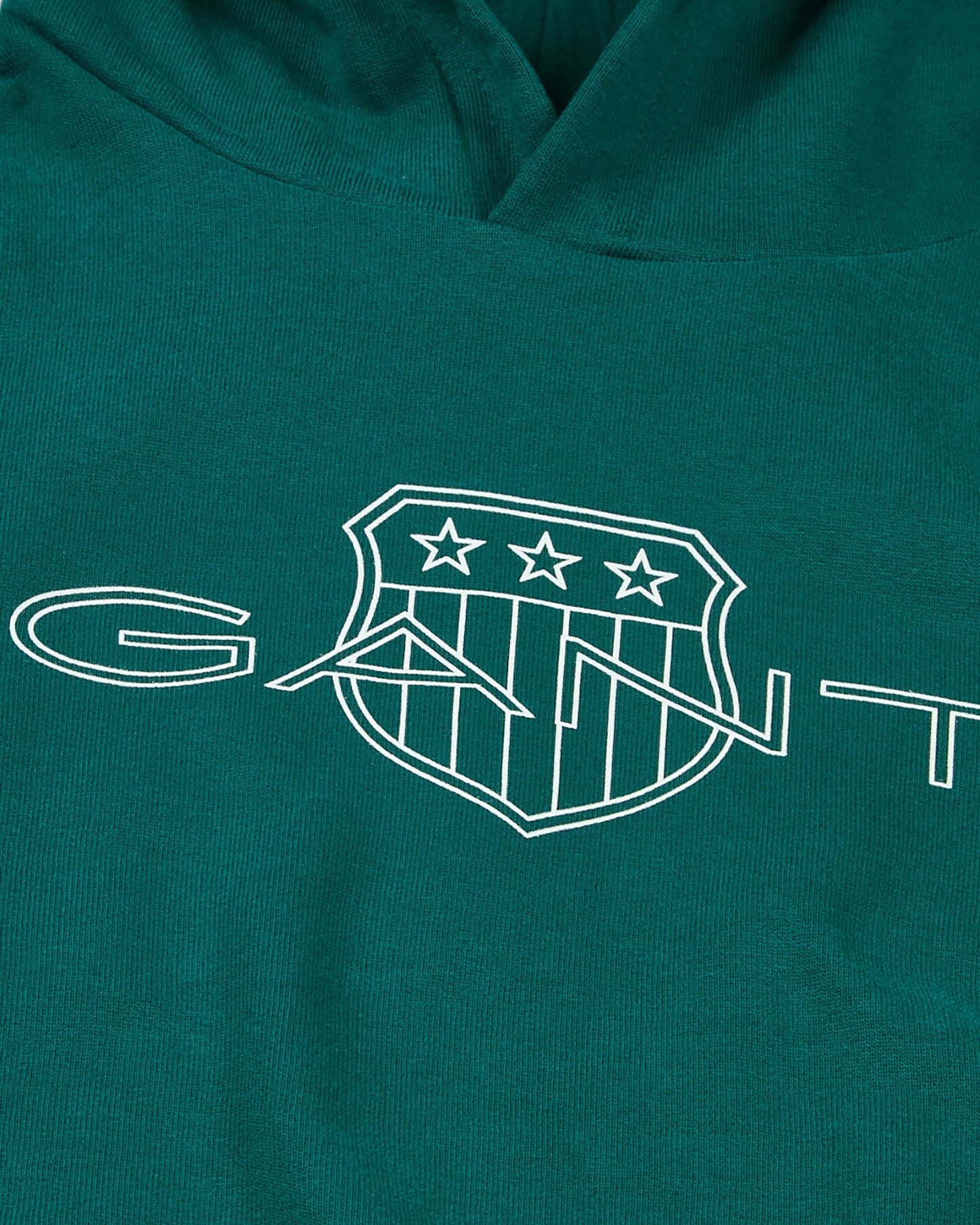 Teens Contrast Shield Hoodie