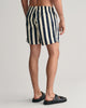 Block Striped Swim Shorts