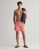 Block Striped Swim Shorts