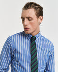 DEEP FOREST, STRIPED SILK TIE, FRONT-VIEW BY GANT AU.