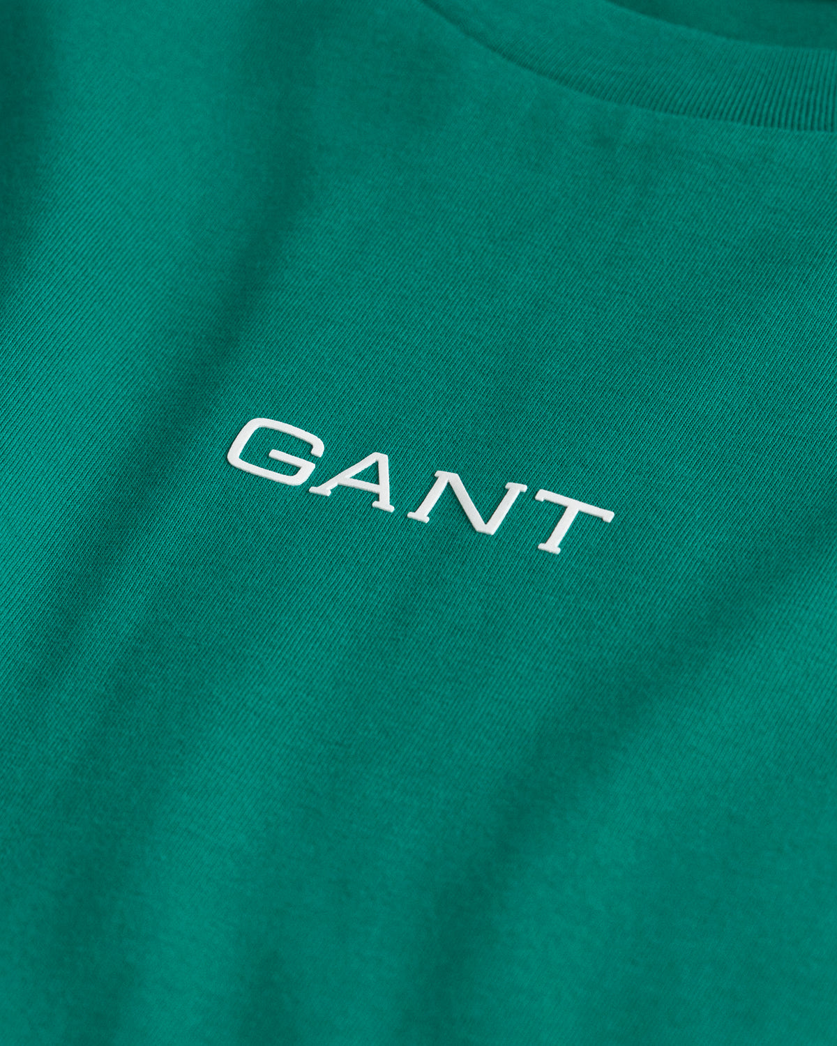 Small GANT Graphic T-Shirt