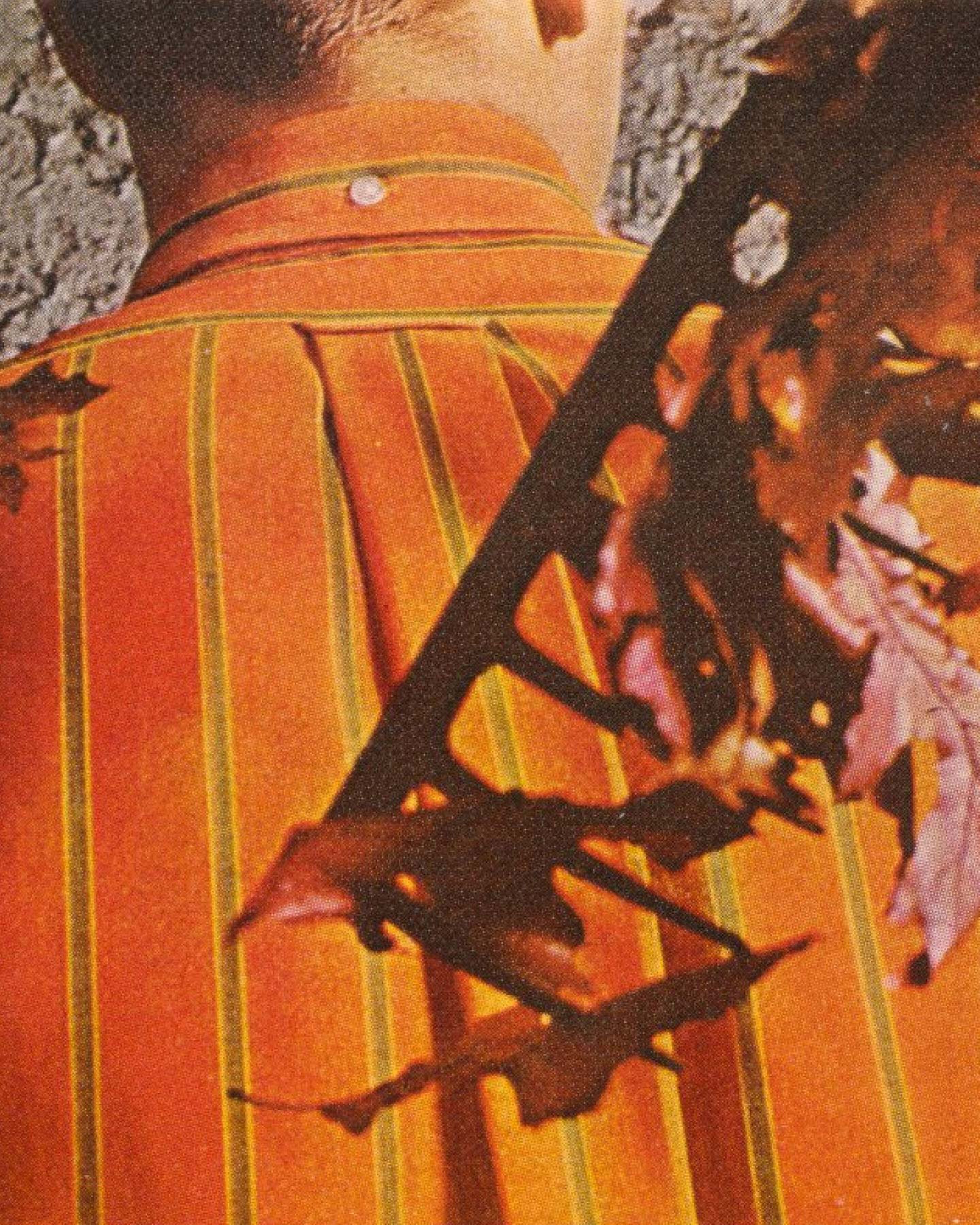 Close-up of a person wearing an orange striped shirt with autumn leaves in the foreground.